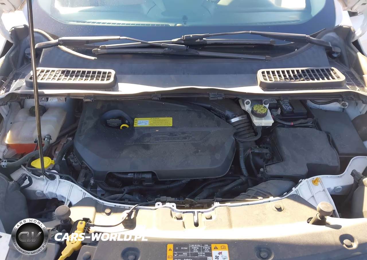 2013 Ford Escape Sel VIN:1FMCU0HX1DUA91034 - 10