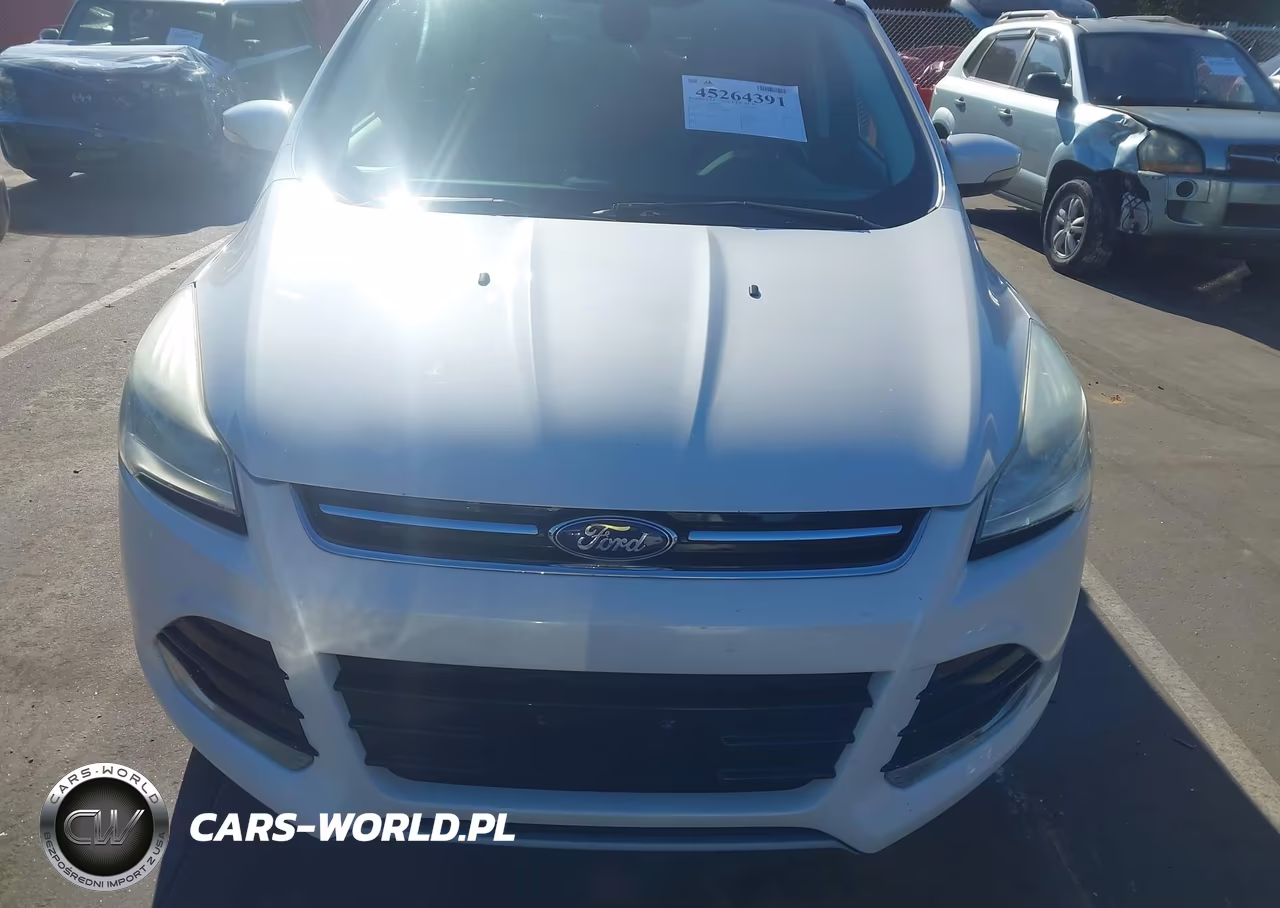 2013 Ford Escape Sel VIN:1FMCU0HX1DUA91034 - 6