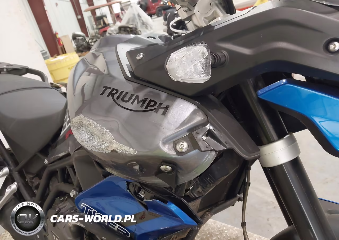 2021 Triumph Motorcycle Tiger 850 Sport VIN:SMTE68DG0MTAE2859 - 14