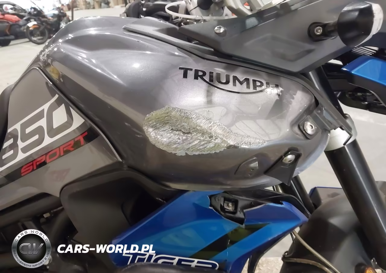 2021 Triumph Motorcycle Tiger 850 Sport VIN:SMTE68DG0MTAE2859 - 15