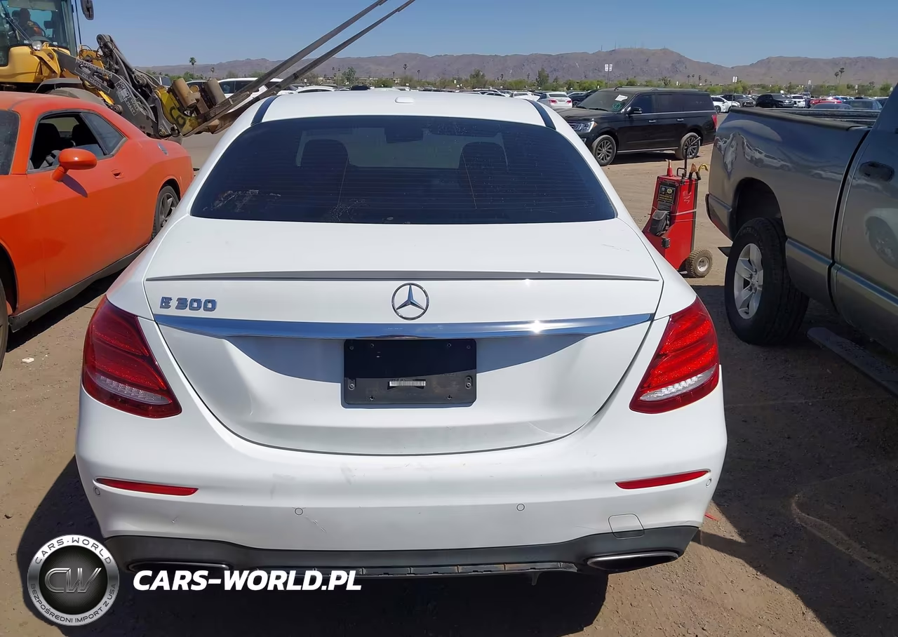 2018 Mercedes-Benz E 300 VIN:WDDZF4JB1JA299206 - 16