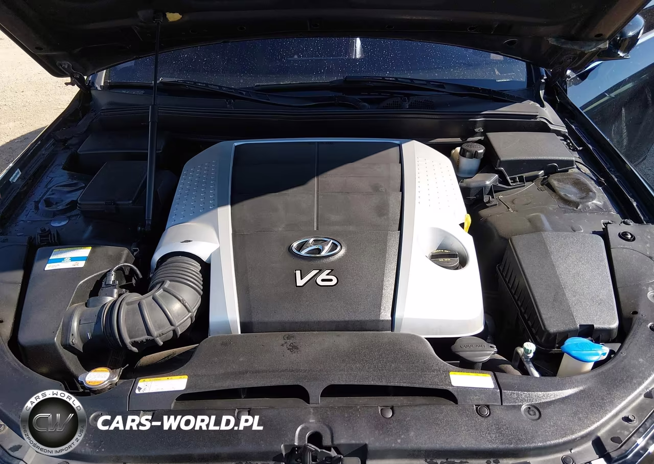 2011 Hyundai Genesis 3.8 VIN:KMHGC4DE3BU139176 - 10