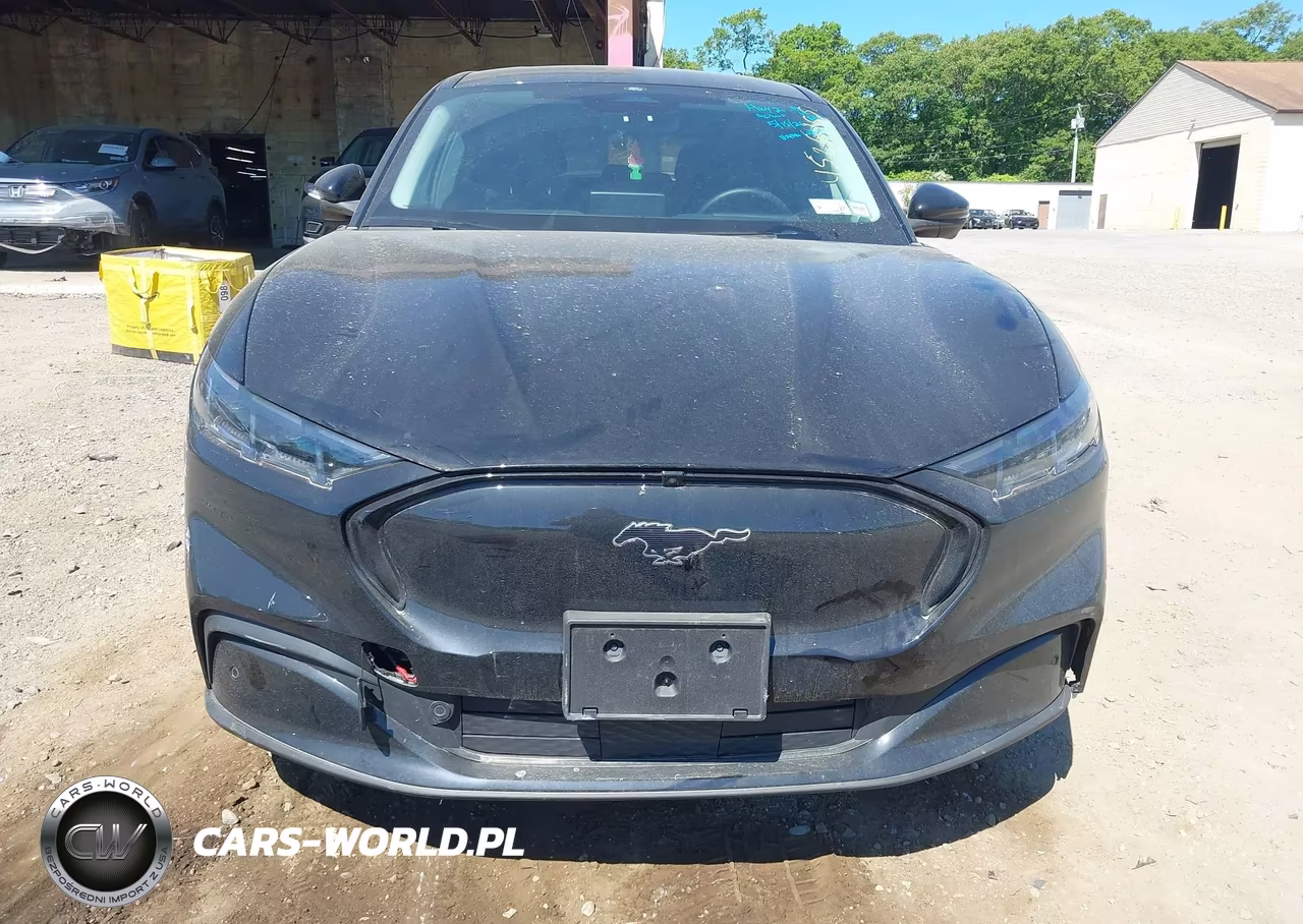 2025 Ford Mustang Mach-E Premium VIN:3FMTK3S59SMA38565 - 13