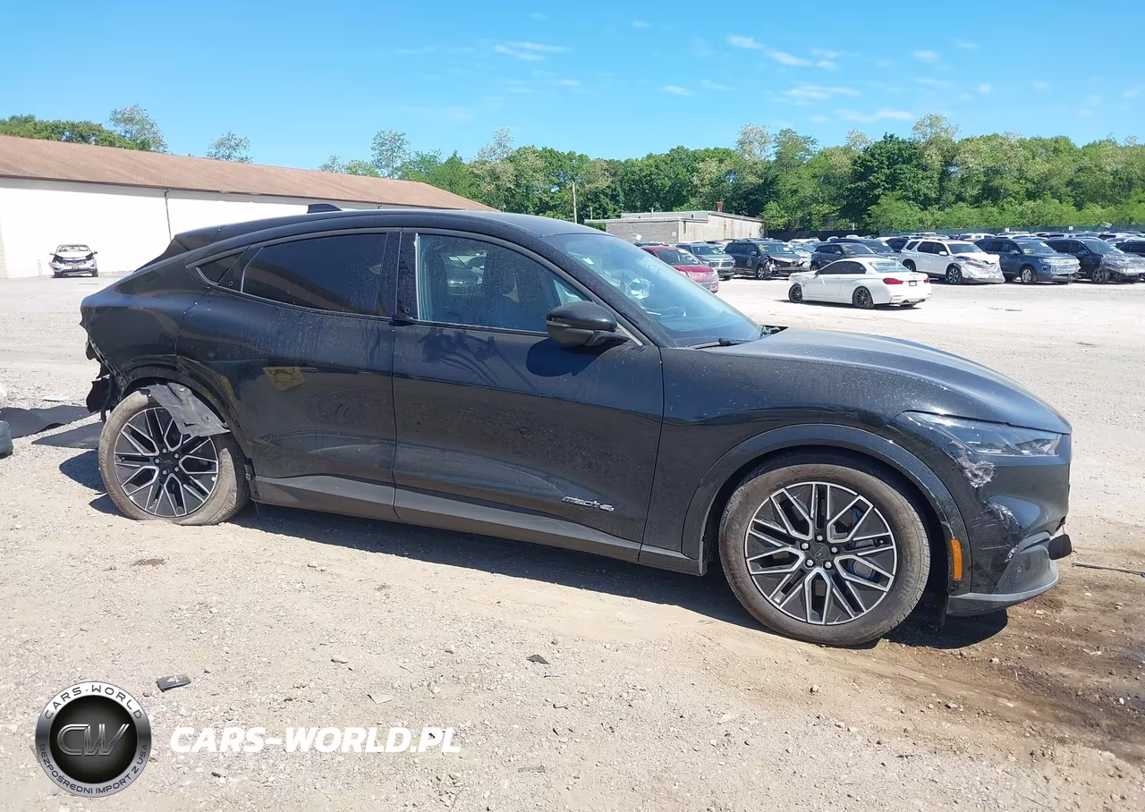 2025 Ford Mustang Mach-E Premium VIN:3FMTK3S59SMA38565 - 14