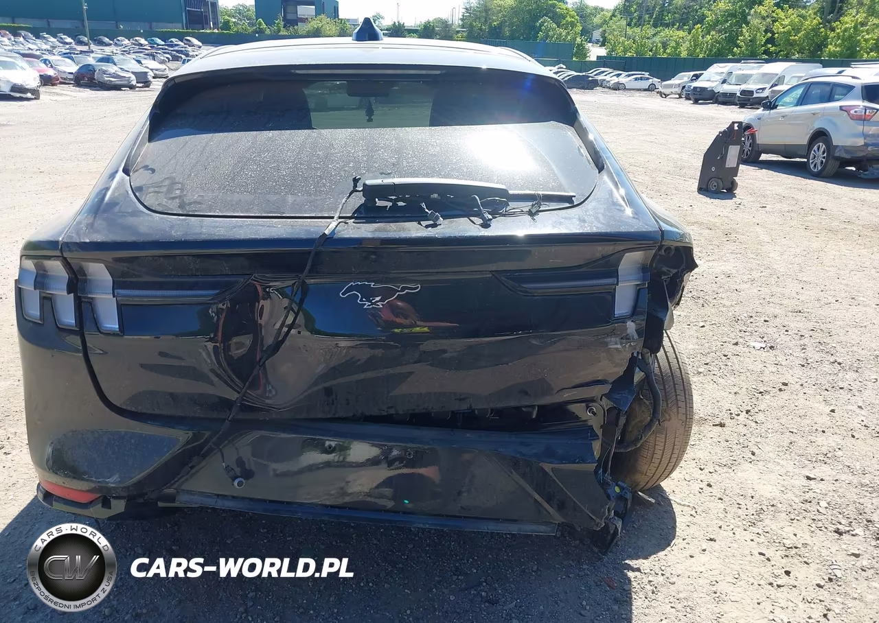 2025 Ford Mustang Mach-E Premium VIN:3FMTK3S59SMA38565 - 17