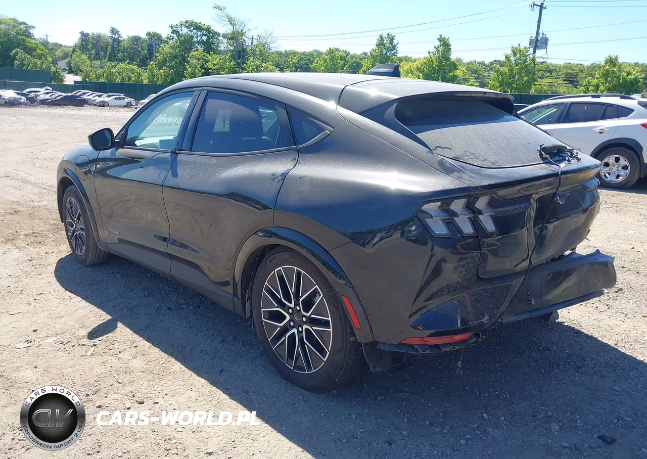 2025 Ford Mustang Mach-E Premium VIN:3FMTK3S59SMA38565 - 3