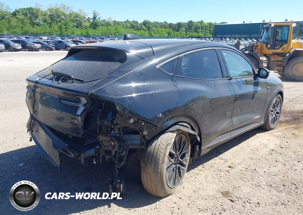 2025 Ford Mustang Mach-E Premium VIN:3FMTK3S59SMA38565 - 6