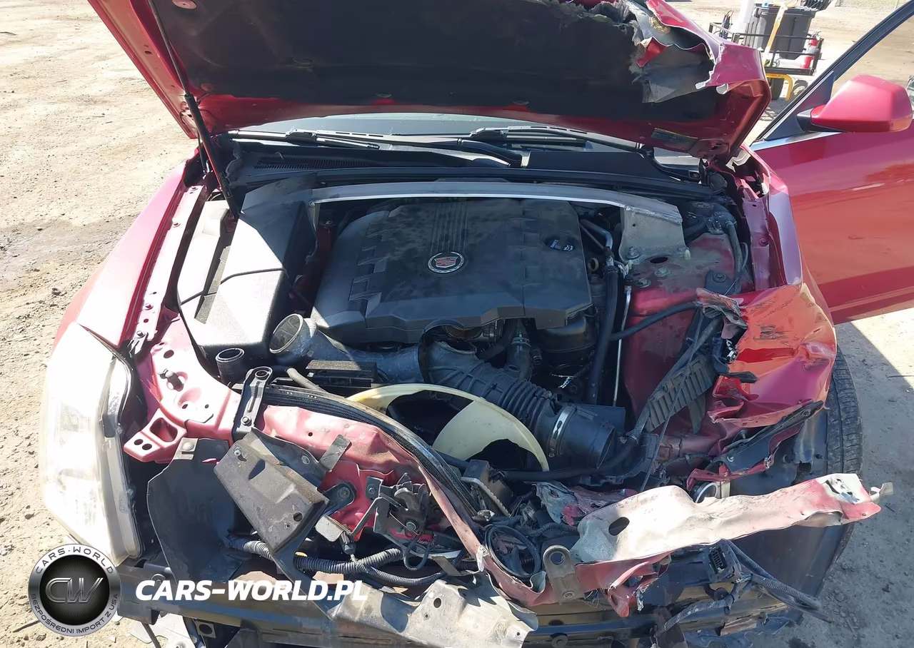 2010 Cadillac Cts VIN:1G6GP5EV9A0101654 - 10
