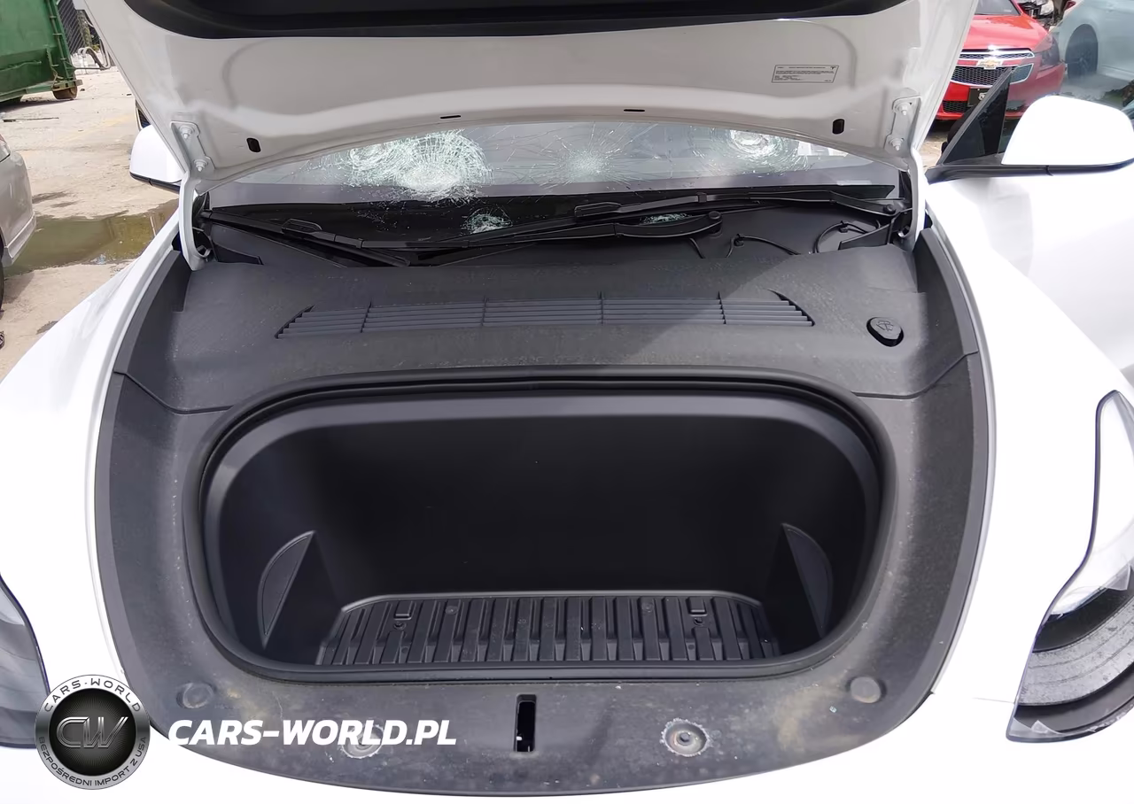 2025 Tesla Model Y Long Range Dual Motor Rear-Wheel Drive VIN:7SAYGDED7SA373669 - 10