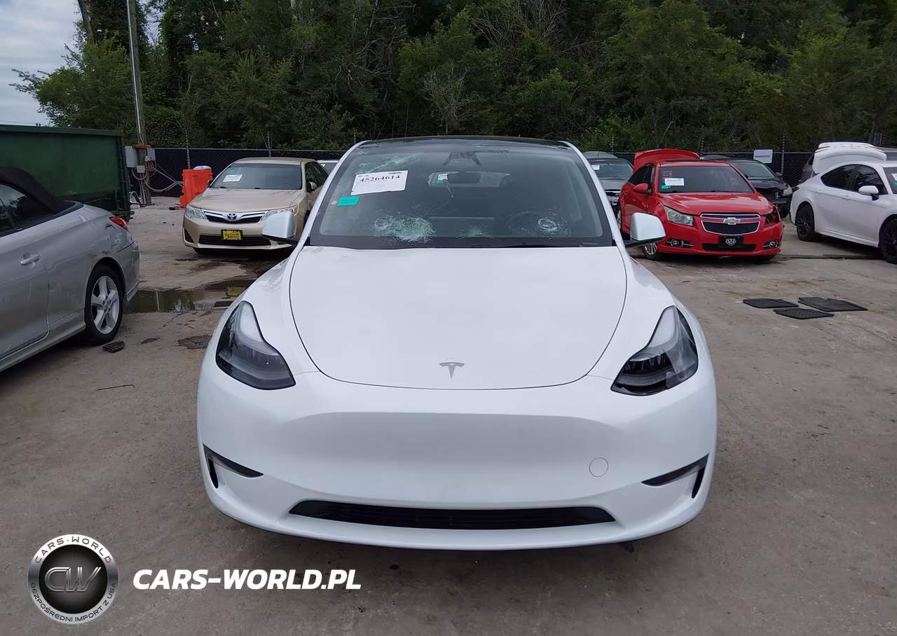 2025 Tesla Model Y Long Range Dual Motor Rear-Wheel Drive VIN:7SAYGDED7SA373669 - 12