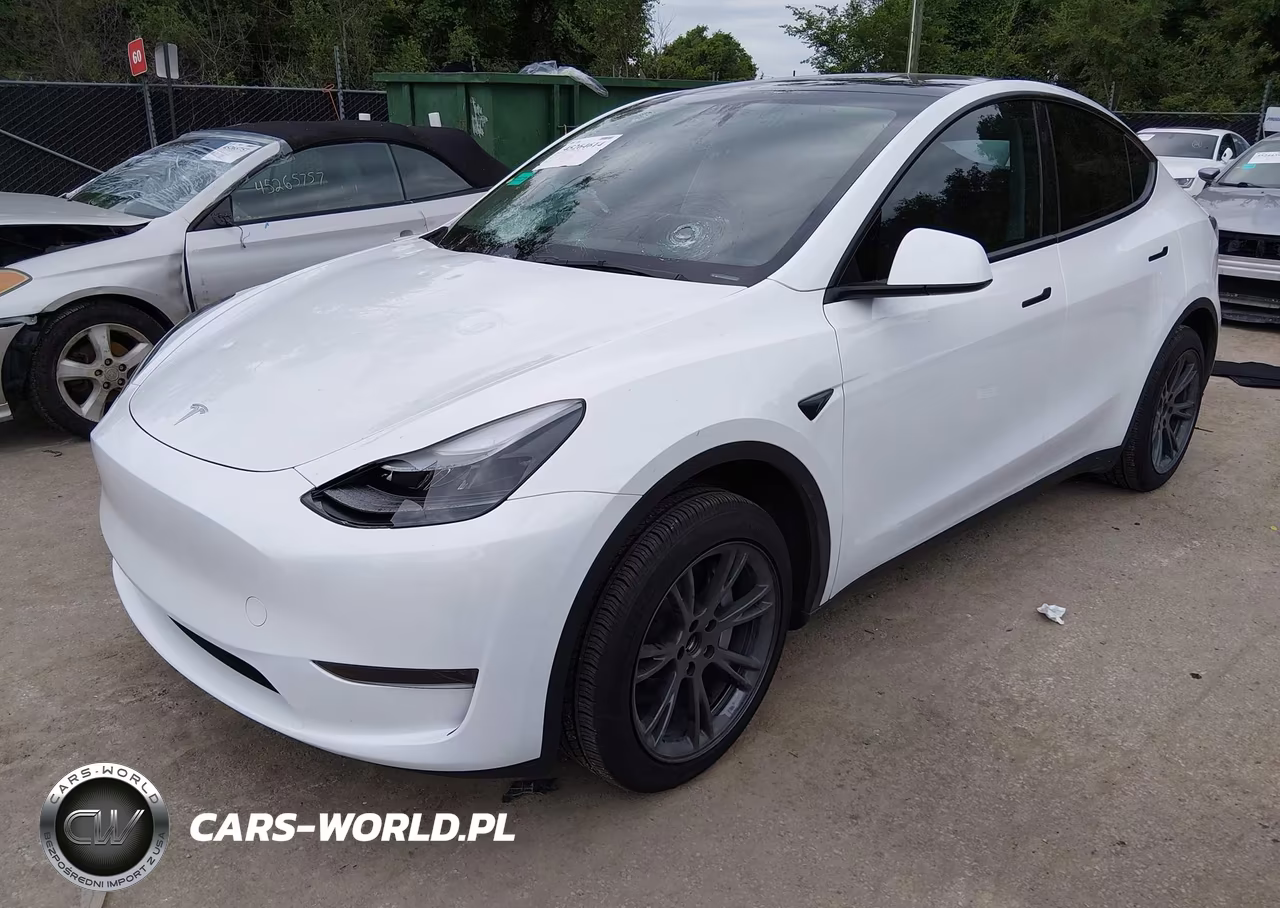 2025 Tesla Model Y Long Range Dual Motor Rear-Wheel Drive VIN:7SAYGDED7SA373669 - 2