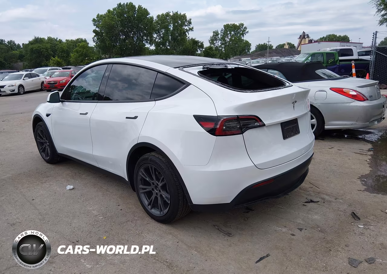 2025 Tesla Model Y Long Range Dual Motor Rear-Wheel Drive VIN:7SAYGDED7SA373669 - 3