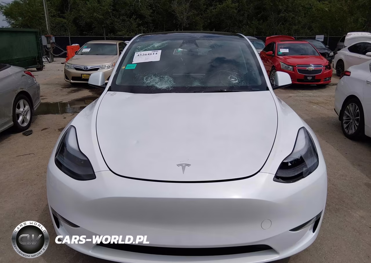 2025 Tesla Model Y Long Range Dual Motor Rear-Wheel Drive VIN:7SAYGDED7SA373669 - 6