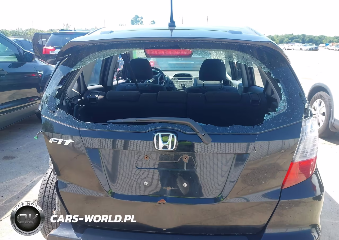 2009 Honda Fit Sport VIN:JHMGE88419S045972 - 12