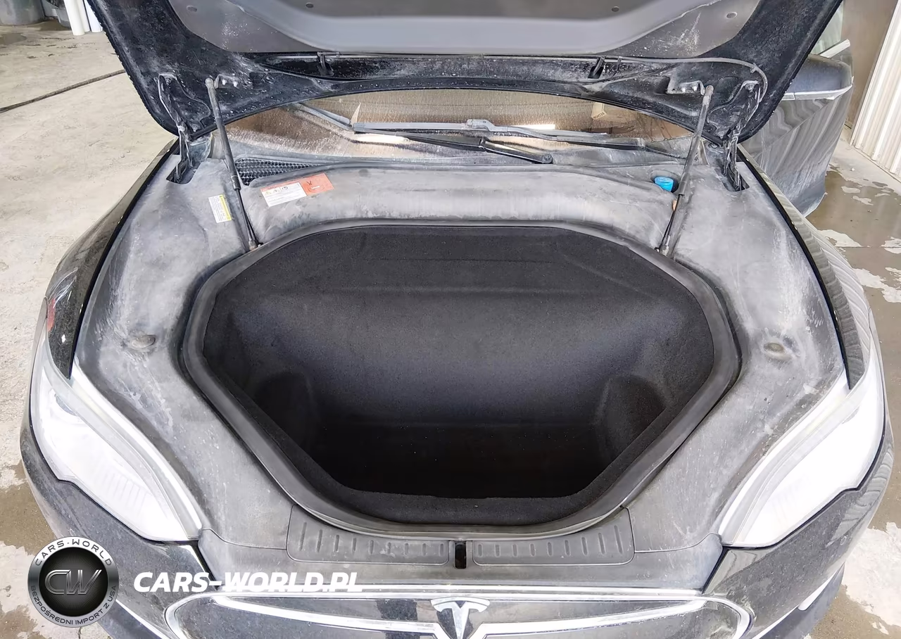 2014 Tesla Model S P85D VIN:5YJSA1H24EFP65996 - 10