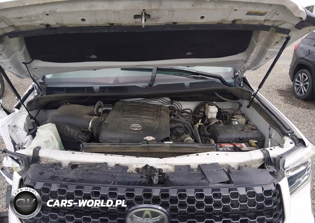 2019 Toyota Tundra Platinum 5.7L V8 VIN:5TFAY5F17KX796489 - 10