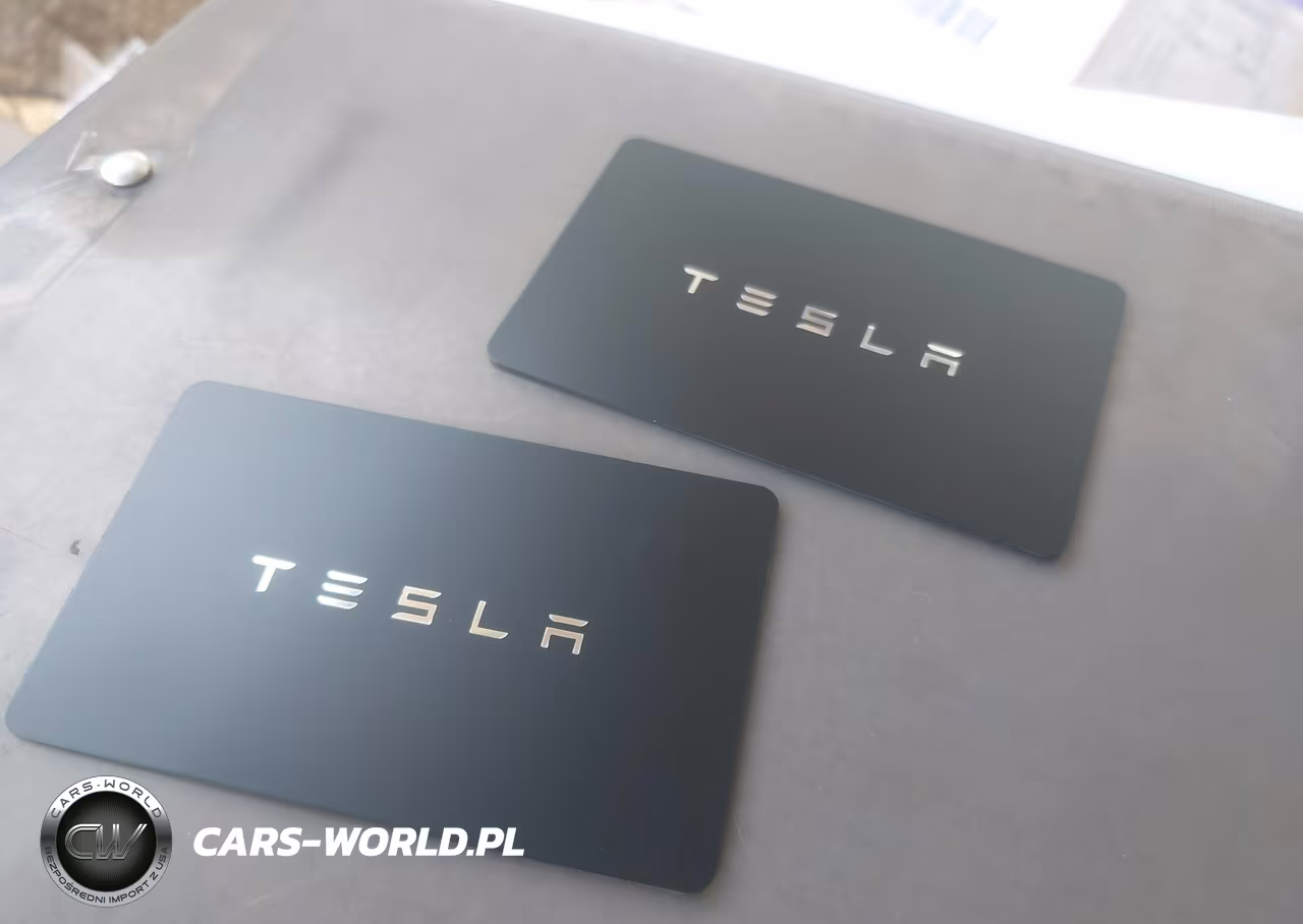 2025 Tesla Model 3 Long Range Rear-Wheel Drive-Standard Rear-Wheel Drive VIN:5YJ3E1EA9SF032293 - 11