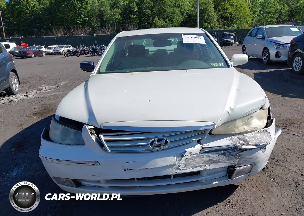 2006 Hyundai Azera Limited-Se VIN:KMHFC46F46A088442 - 12