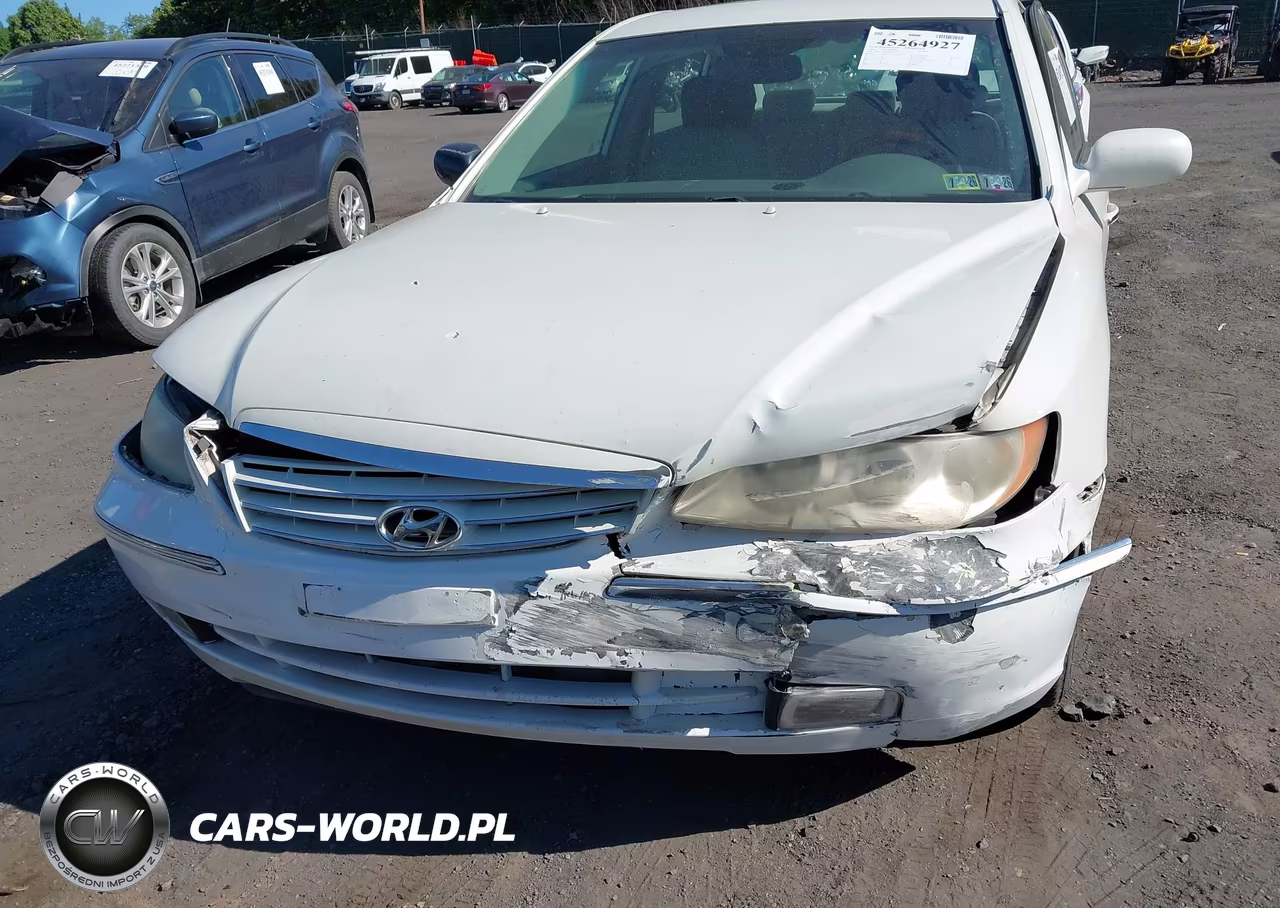 2006 Hyundai Azera Limited-Se VIN:KMHFC46F46A088442 - 6