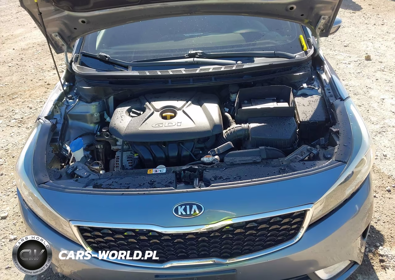 2017 Kia Forte Ex VIN:3KPFN4A87HE039310 - 10