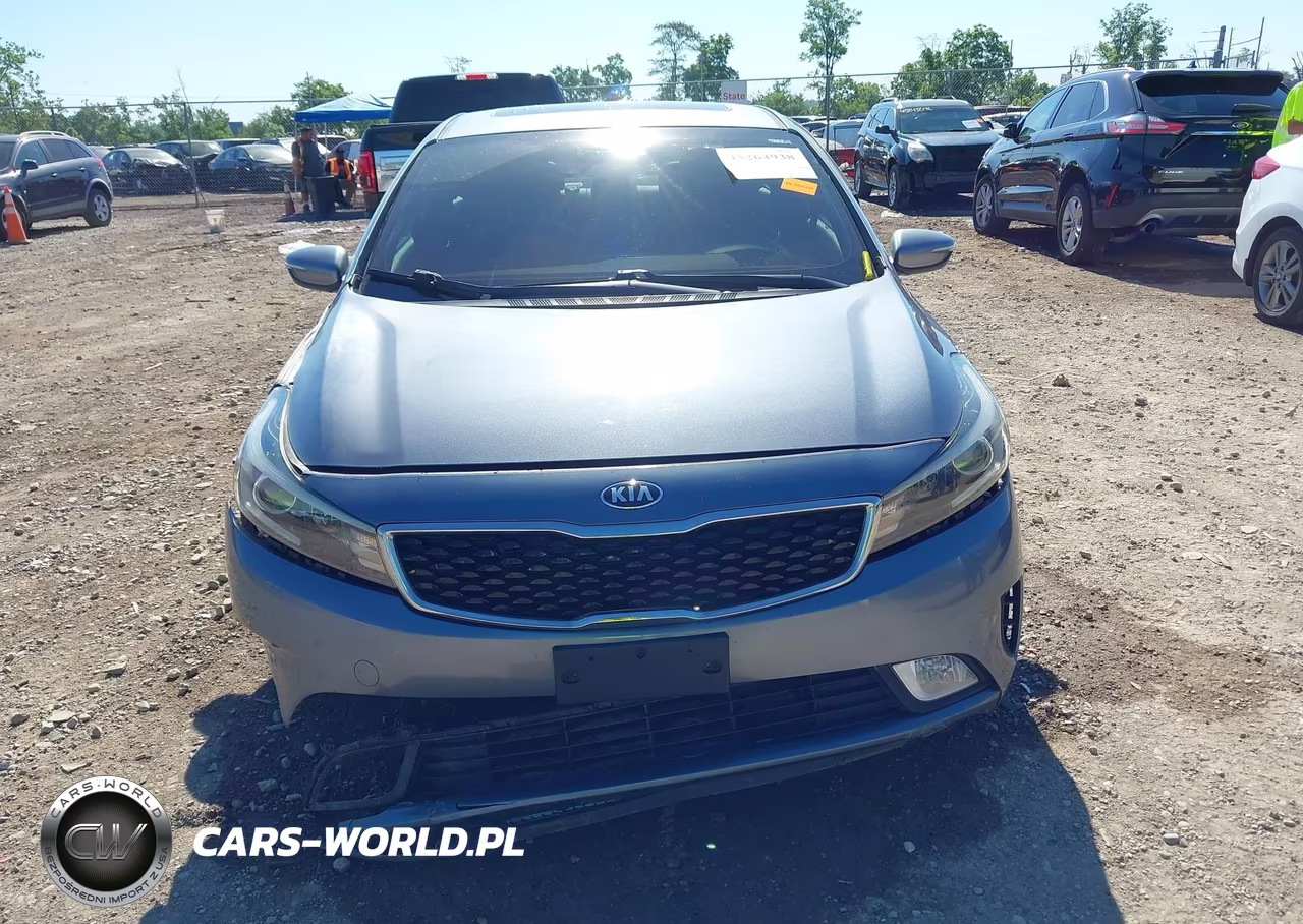 2017 Kia Forte Ex VIN:3KPFN4A87HE039310 - 13