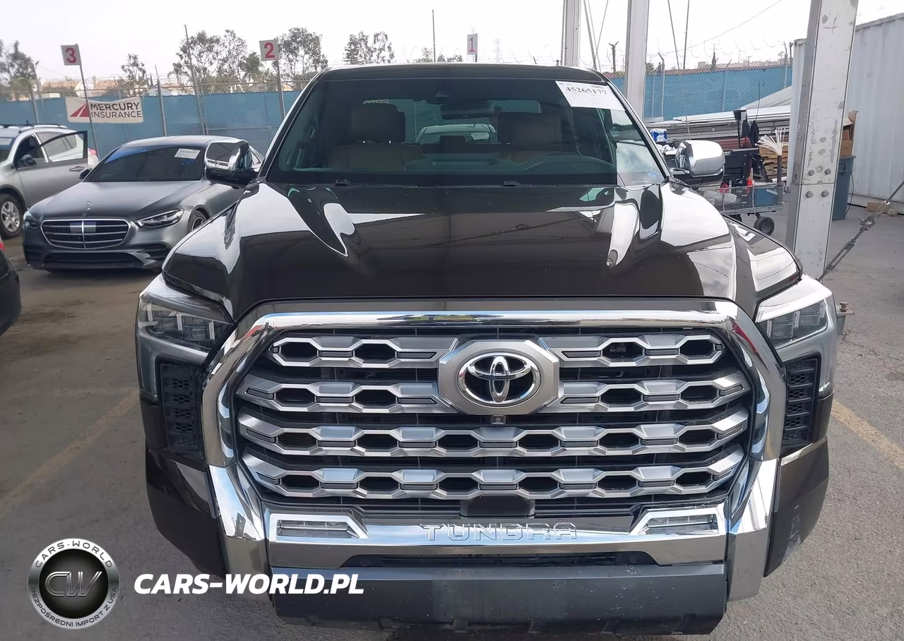 2022 Toyota Tundra 1794 Edition VIN:5TFMA5AB9NX011105 - 12