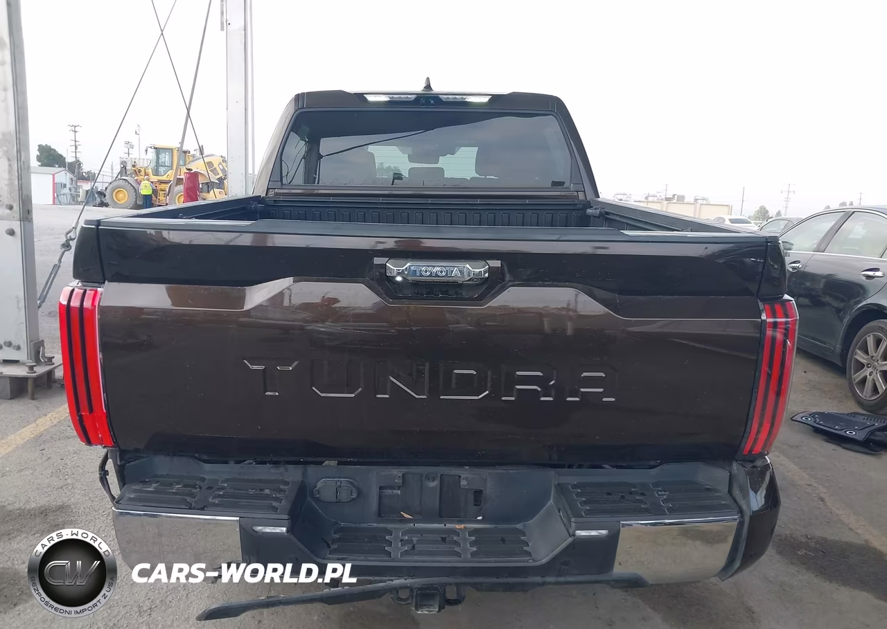 2022 Toyota Tundra 1794 Edition VIN:5TFMA5AB9NX011105 - 16