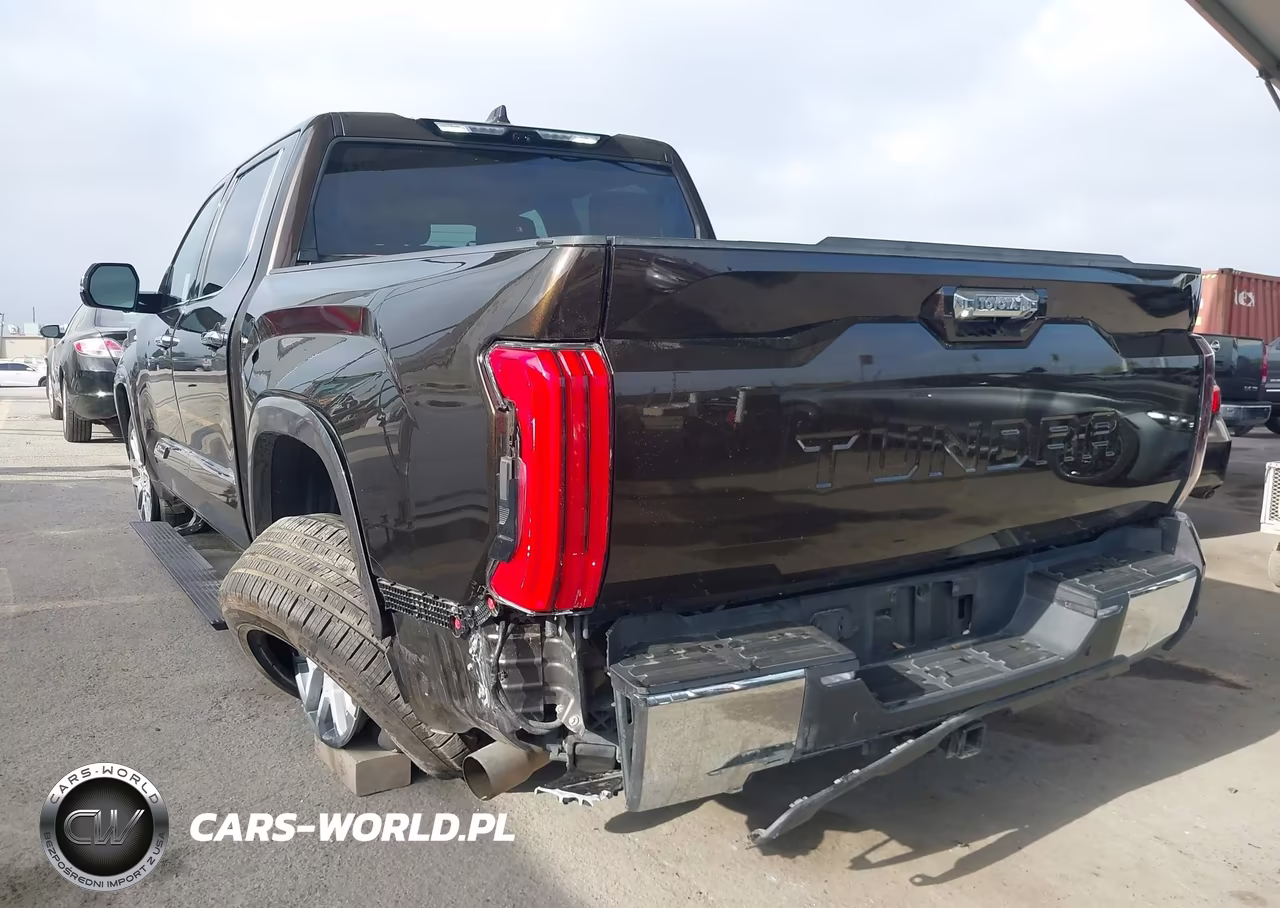 2022 Toyota Tundra 1794 Edition VIN:5TFMA5AB9NX011105 - 17