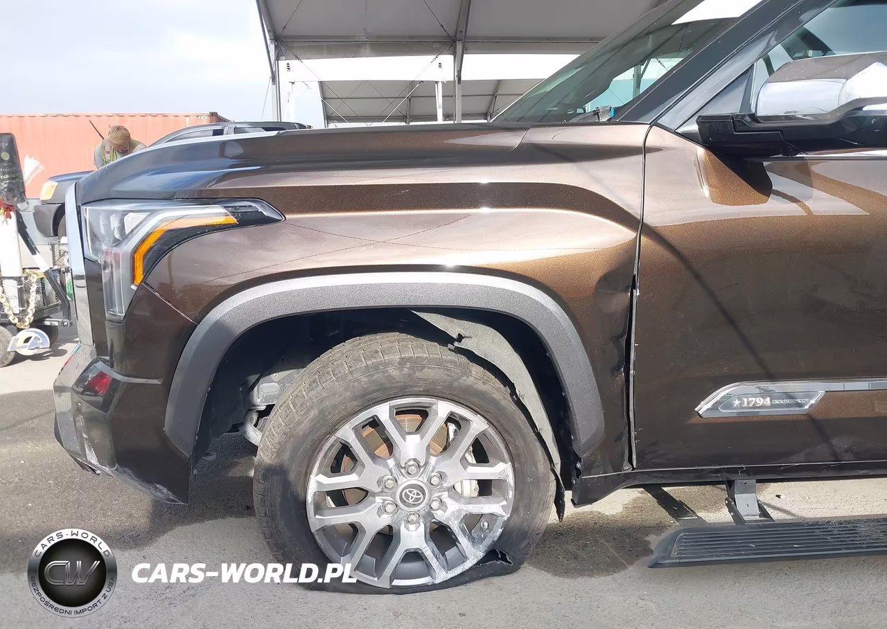 2022 Toyota Tundra 1794 Edition VIN:5TFMA5AB9NX011105 - 18