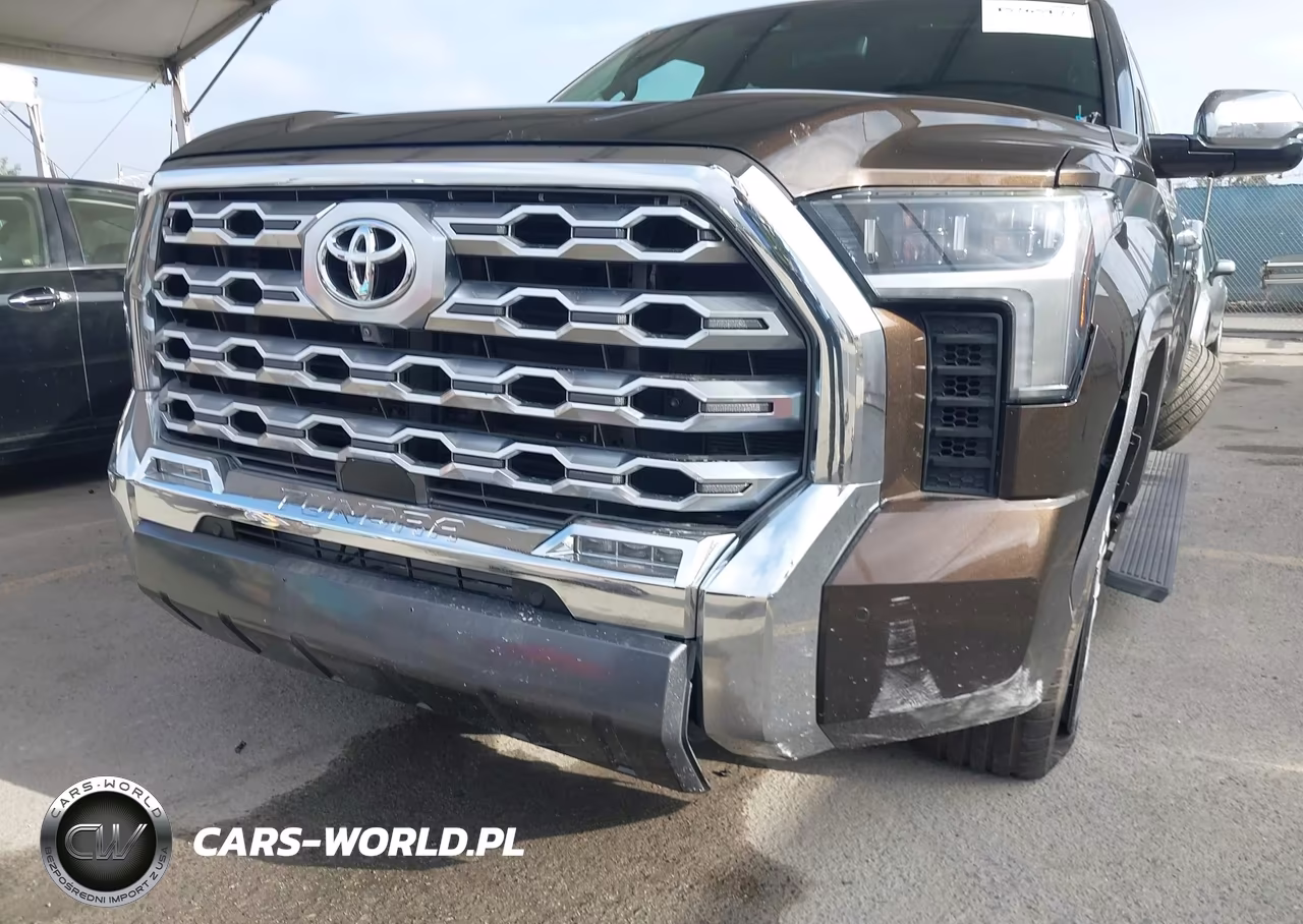 2022 Toyota Tundra 1794 Edition VIN:5TFMA5AB9NX011105 - 20