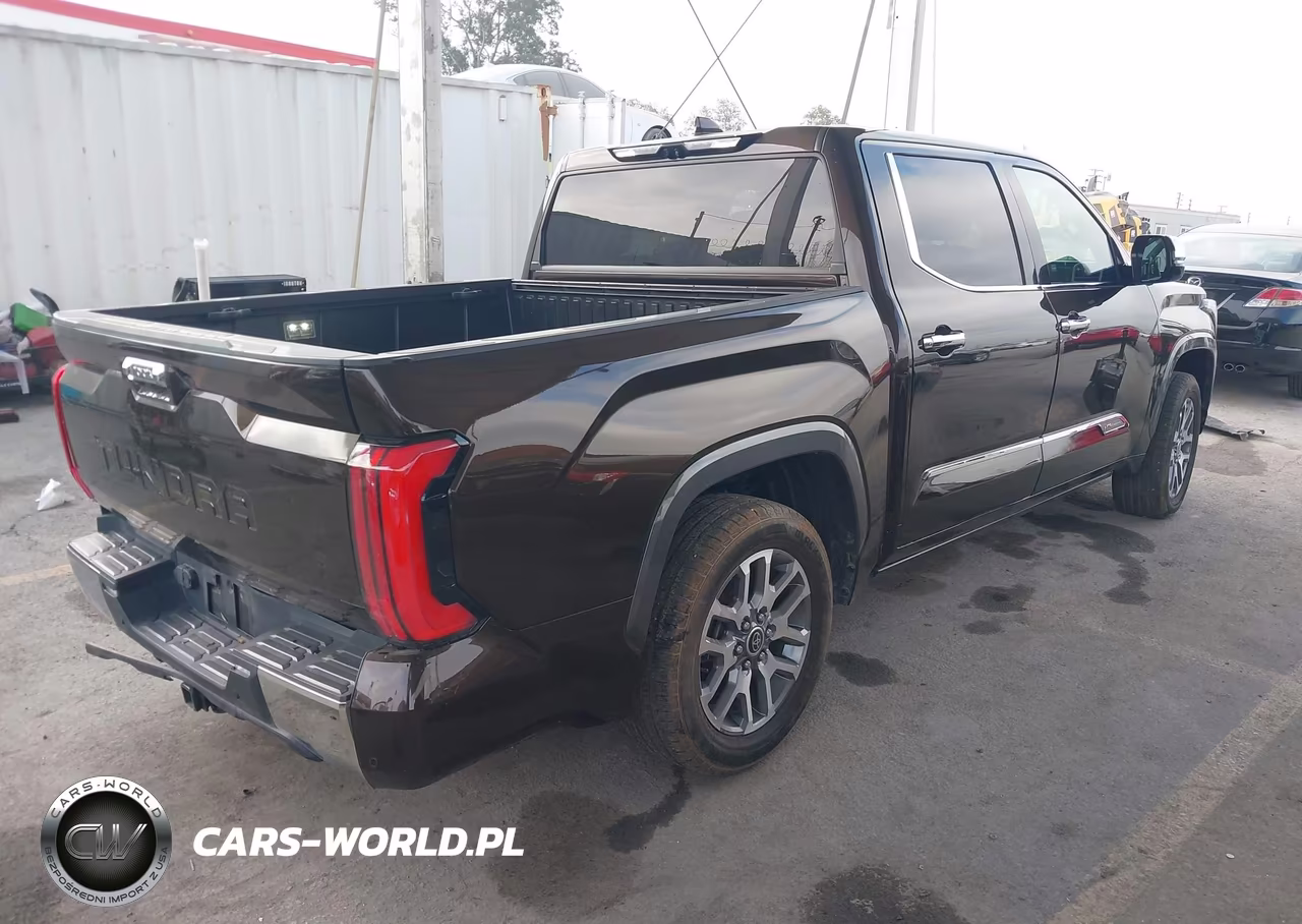 2022 Toyota Tundra 1794 Edition VIN:5TFMA5AB9NX011105 - 4