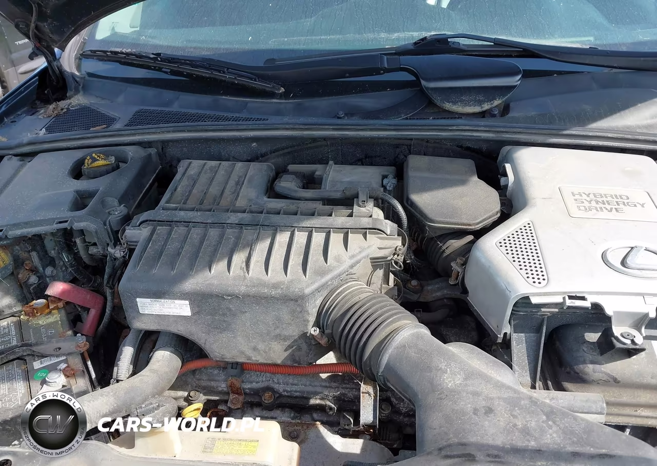 2006 Lexus Rx 400H VIN:JTJHW31U960047070 - 10