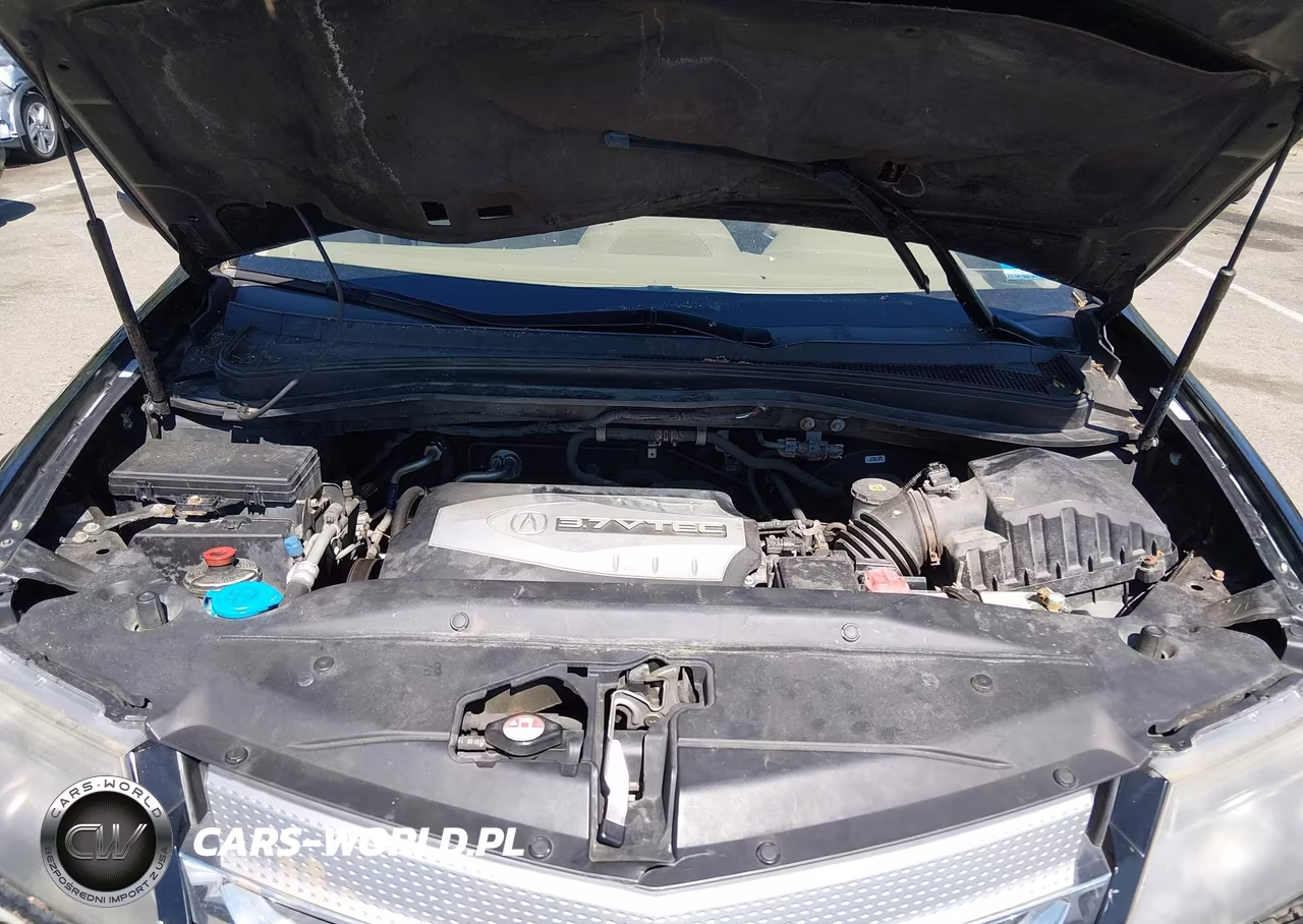 2008 Acura Mdx Technology Package VIN:2HNYD28668H541521 - 10