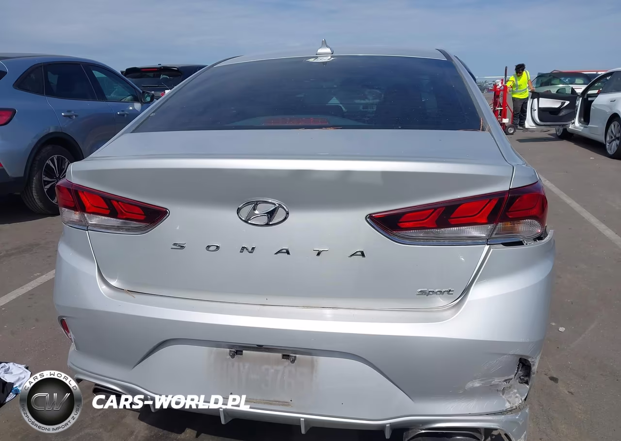 2019 Hyundai Sonata Sport VIN:5NPE34AF9KH741194 - 16