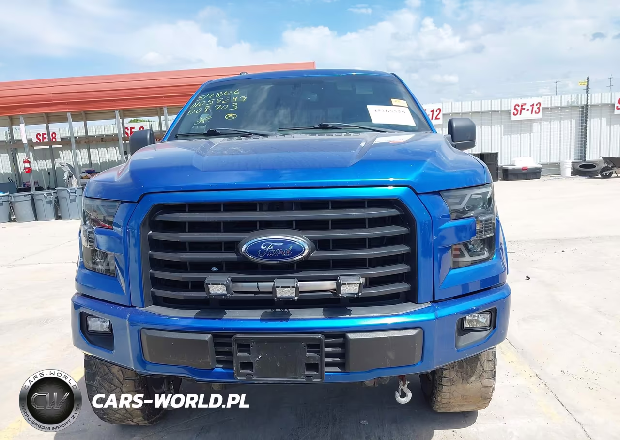 2015 Ford F-150 Xlt VIN:1FTEW1EFXFKD08703 - 13
