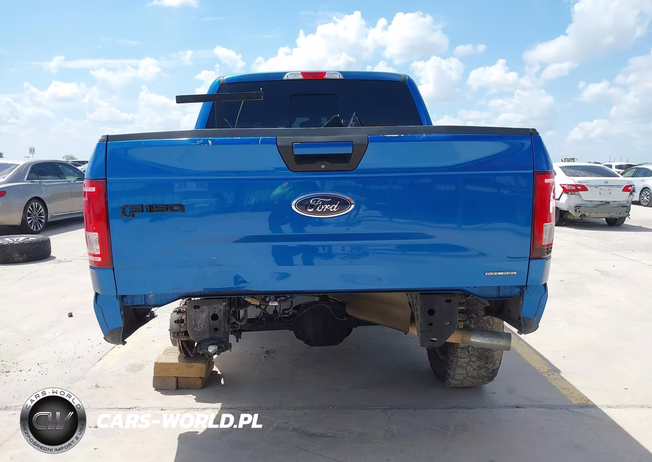 2015 Ford F-150 Xlt VIN:1FTEW1EFXFKD08703 - 17