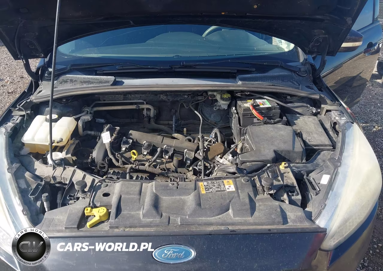 2016 Ford Focus Se VIN:1FADP3F2XGL241912 - 10