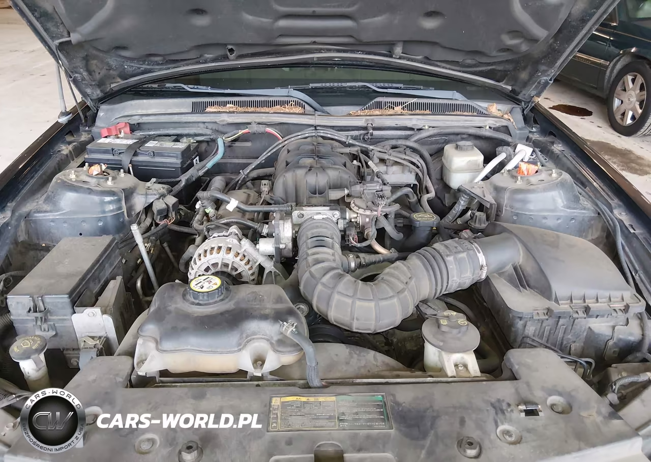 2006 Ford Mustang V6 VIN:1ZVFT80NX65187560 - 10