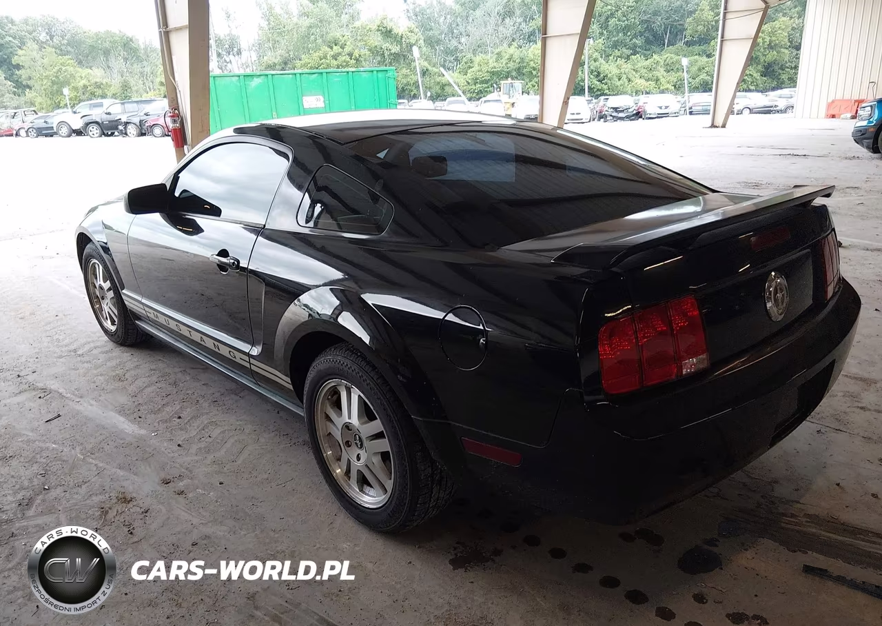 2006 Ford Mustang V6 VIN:1ZVFT80NX65187560 - 3