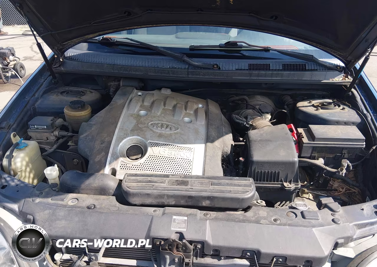 2005 Kia Sedona Ex-Lx VIN:KNDUP132856684753 - 10