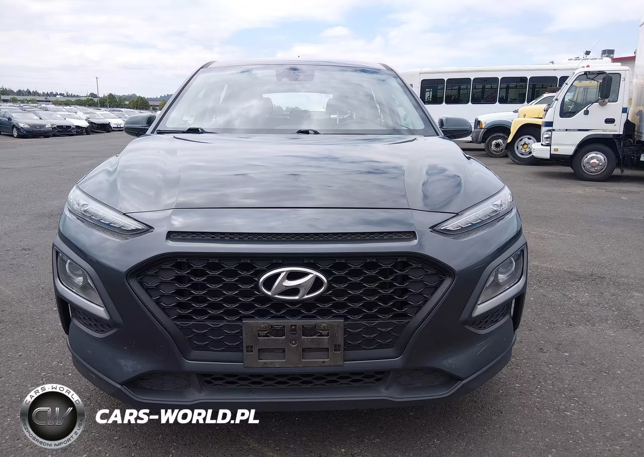 2019 Hyundai Kona Se VIN:KM8K1CAA3KU373975 - 12