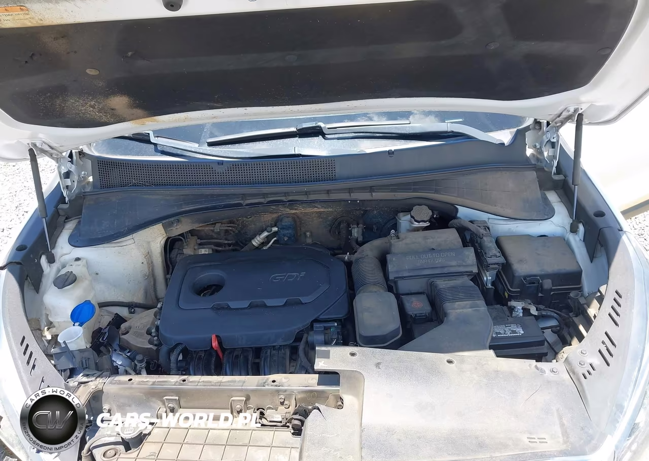 2019 Kia Sorento 2.4L Lx VIN:5XYPG4A35KG506334 - 10