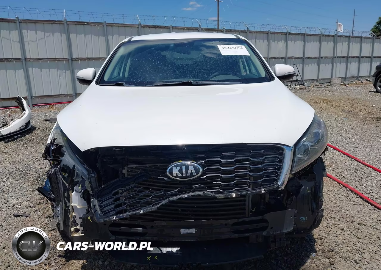 2019 Kia Sorento 2.4L Lx VIN:5XYPG4A35KG506334 - 13