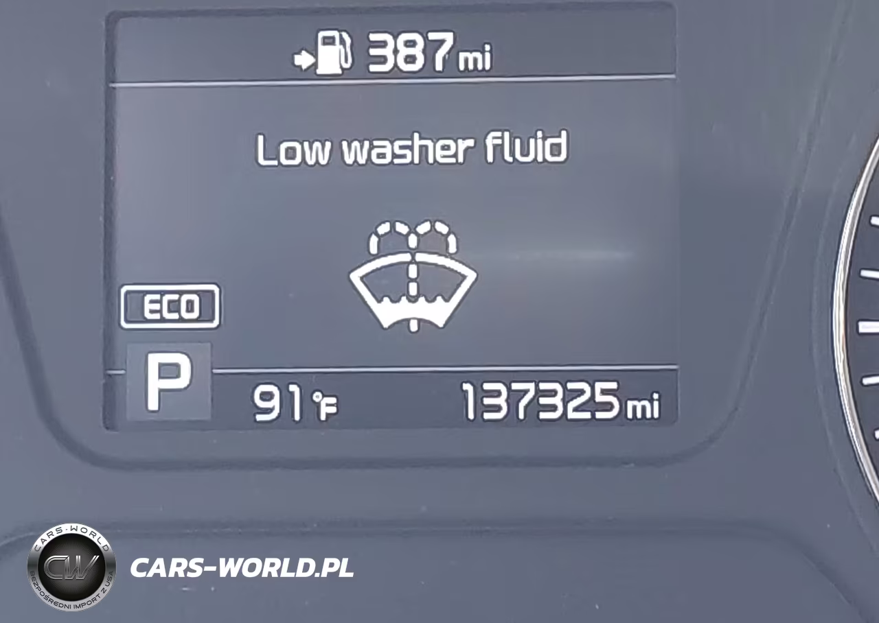 2019 Kia Sorento 2.4L Lx VIN:5XYPG4A35KG506334 - 16