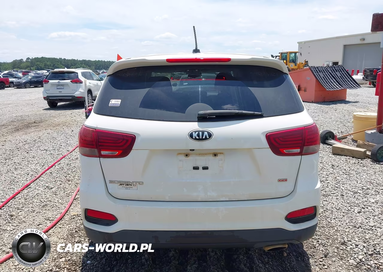 2019 Kia Sorento 2.4L Lx VIN:5XYPG4A35KG506334 - 17