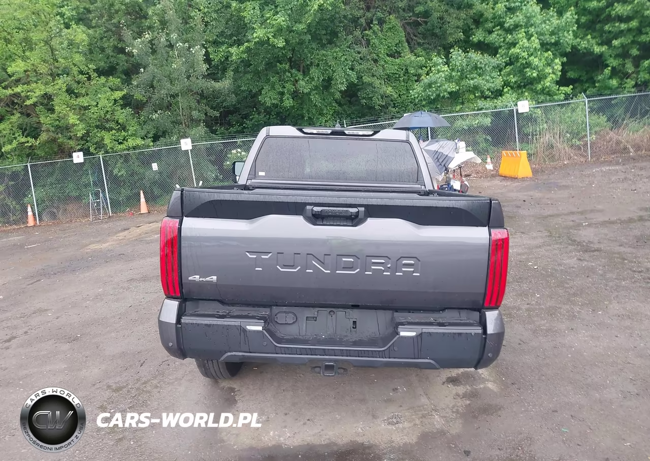 2022 Toyota Tundra Sr5 VIN:5TFLA5DB7NX043350 - 17