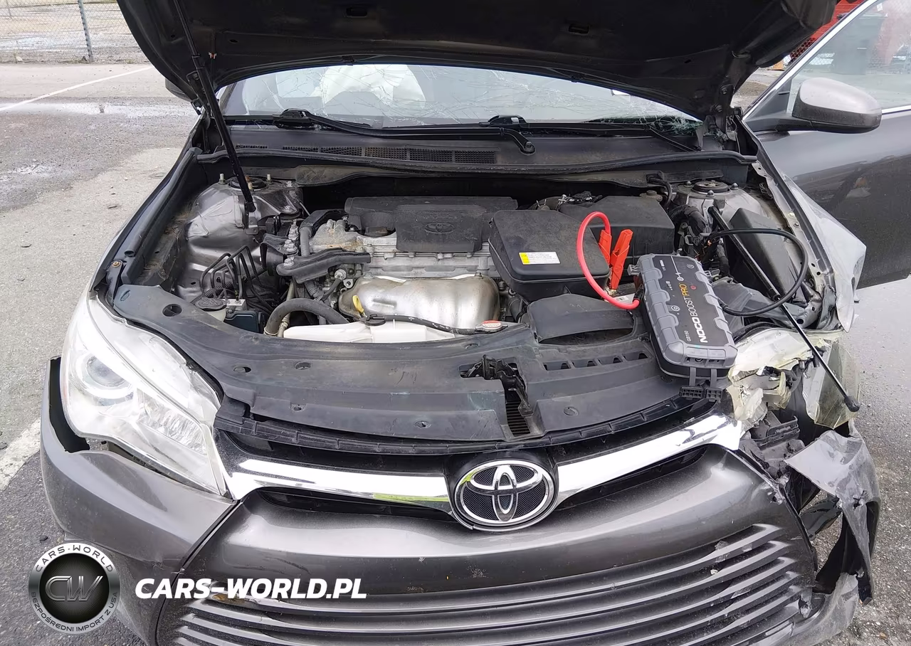 2016 Toyota Camry Le VIN:4T4BF1FK4GR541823 - 10
