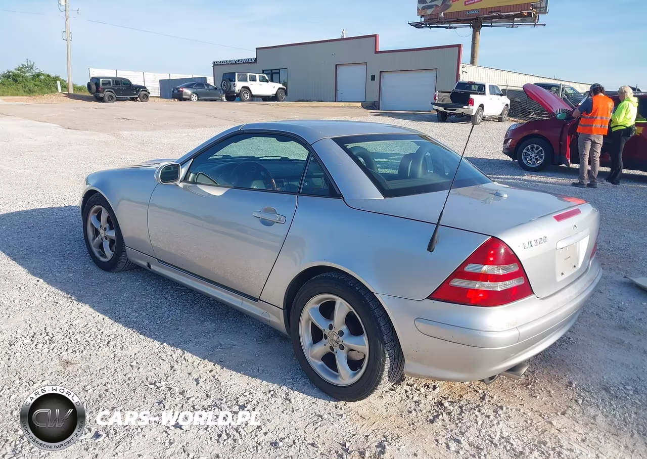 2001 Mercedes-Benz Slk 320 VIN:WDBKK65F61F224387 - 3