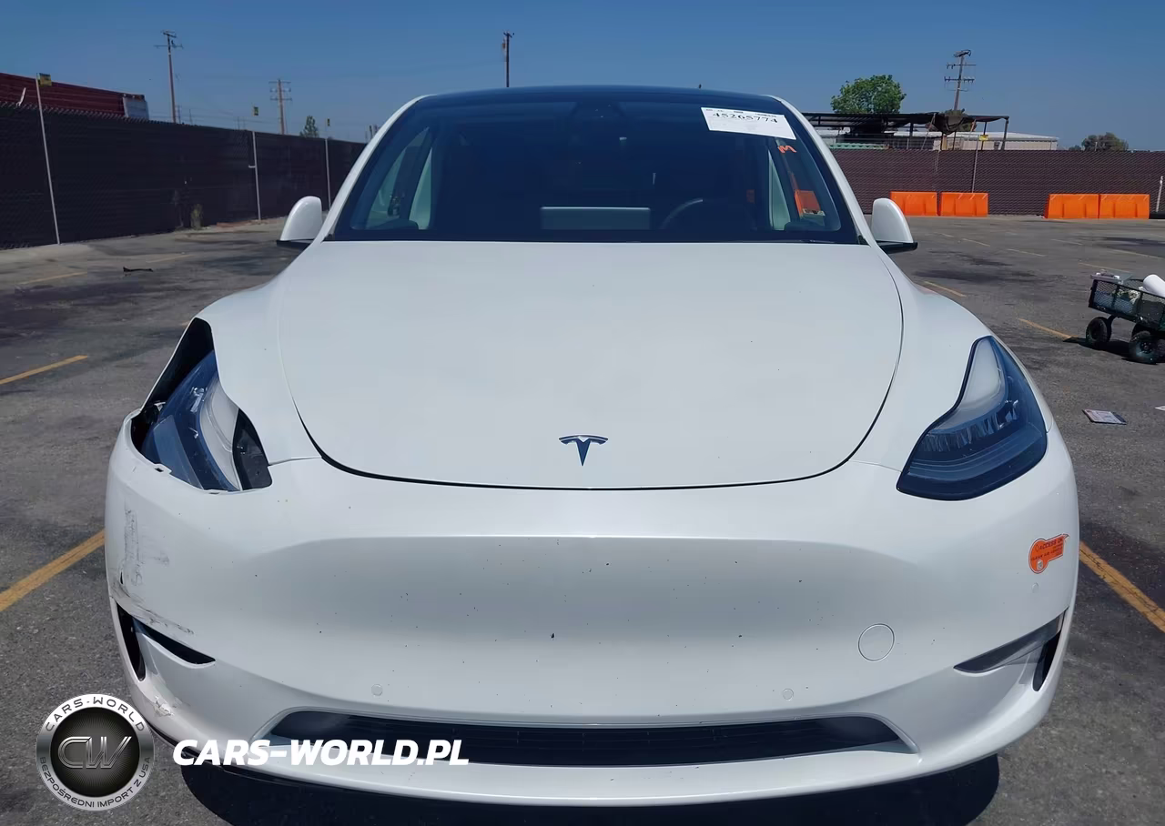 2020 Tesla Model Y Long Range Dual Motor All-Wheel Drive VIN:5YJYGDEE8LF054498 - 12