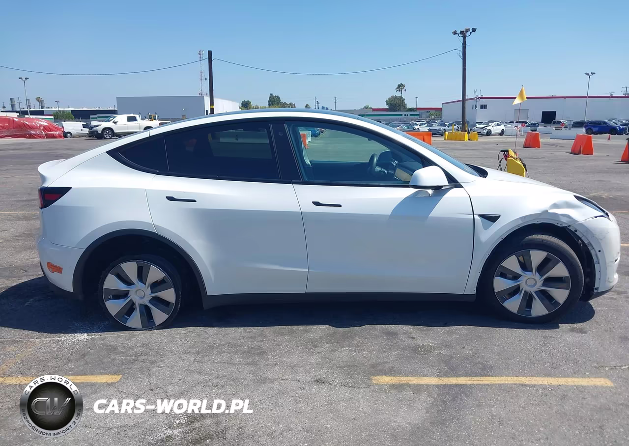 2020 Tesla Model Y Long Range Dual Motor All-Wheel Drive VIN:5YJYGDEE8LF054498 - 13